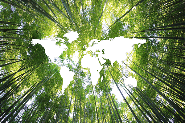 Sustainability